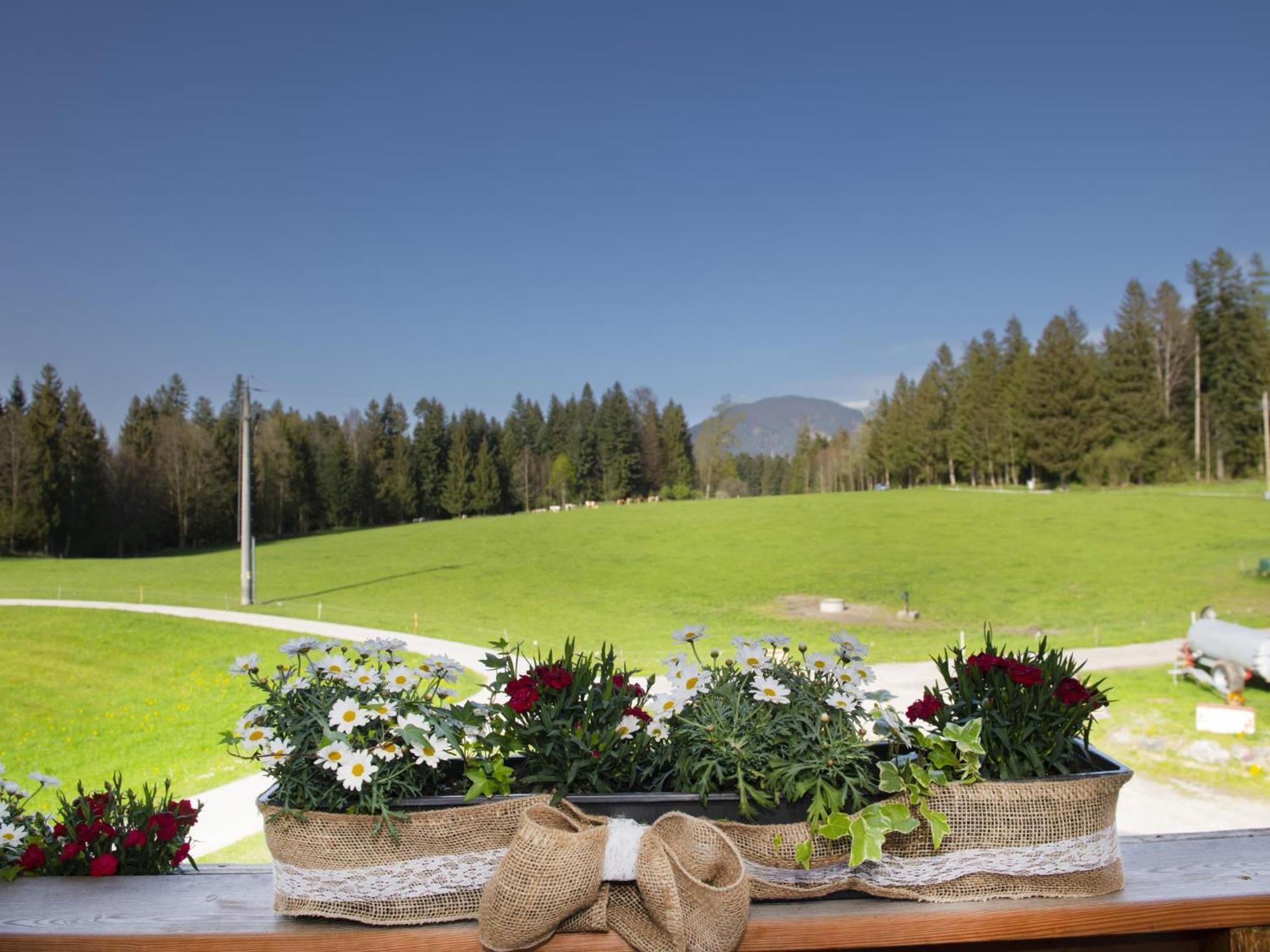 Auszeit Am Bauernhof Apartment Schwoich ภายนอก รูปภาพ
